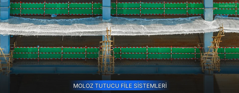 Moloz Tutucu File Sistemleri